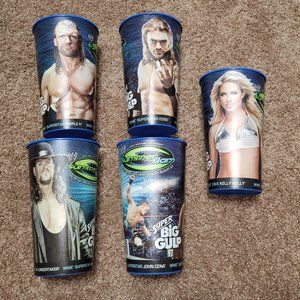 Set of 5 WWE 2009 Summer Slam Super Big Gulp Cups